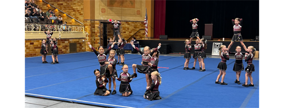 Amazing Cheer Programs